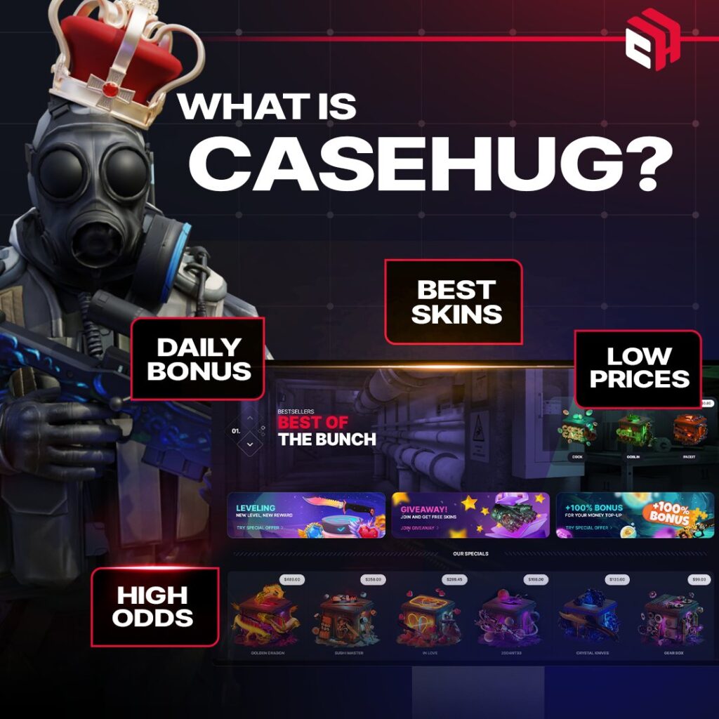 casehug review