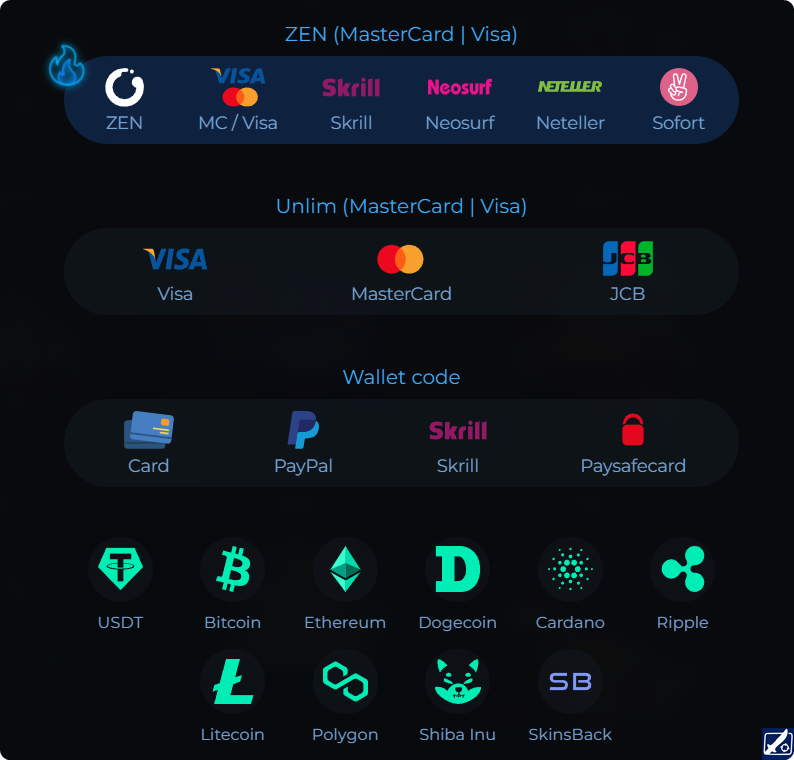 BloodyCase Payment Methods – VISA, MasterCard, Bitcoin