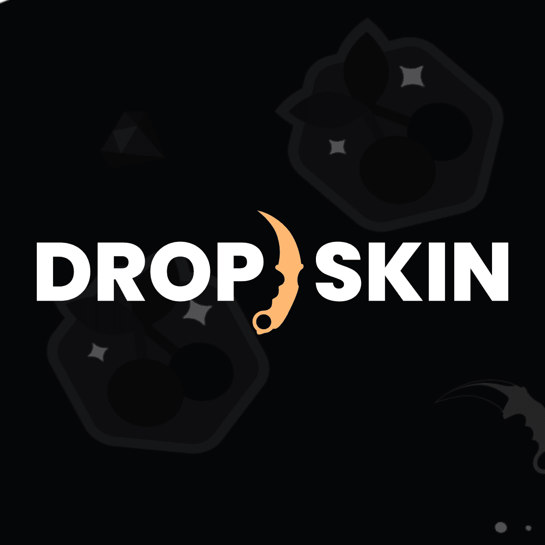DropSkin Review
